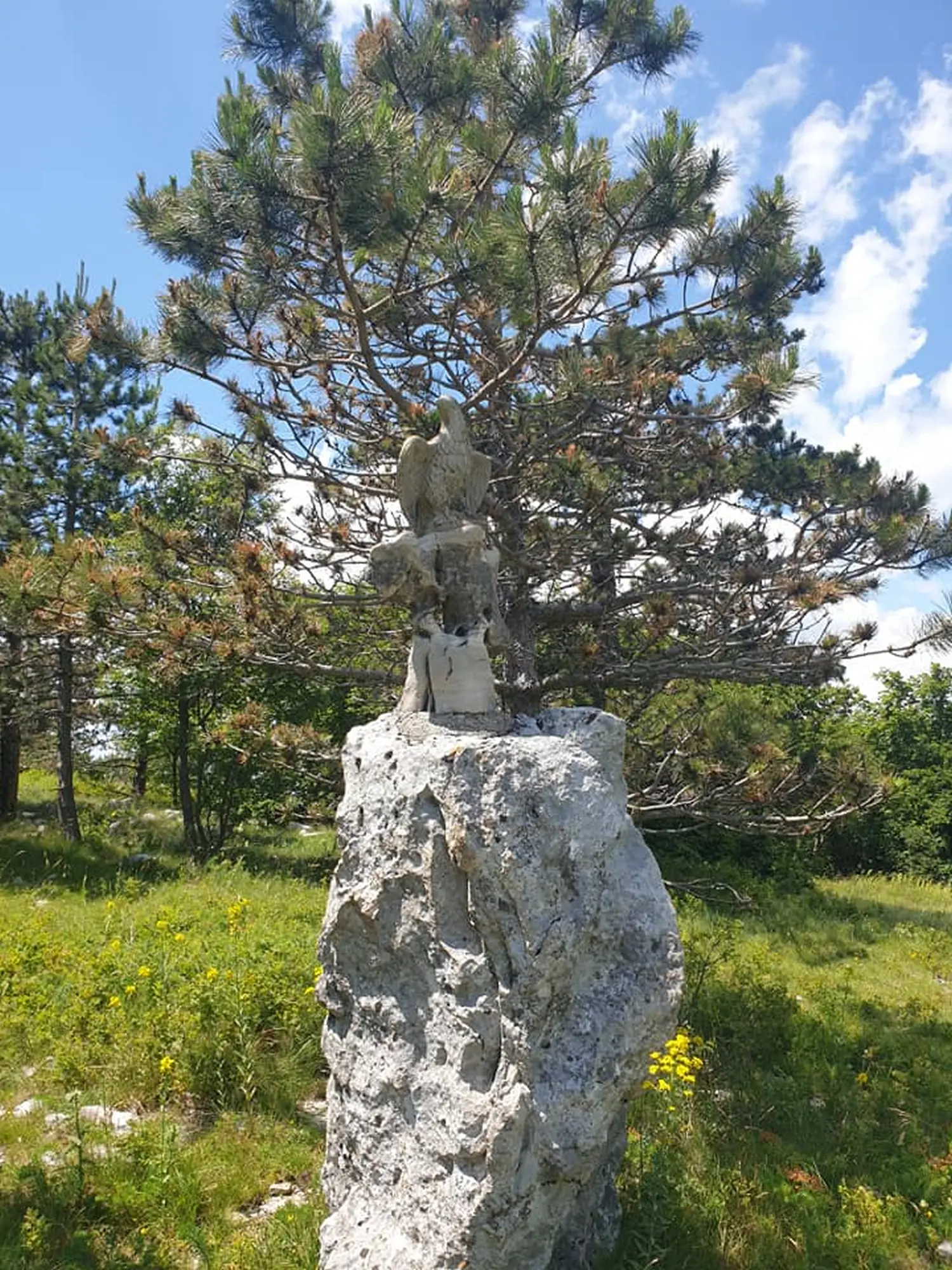 pd bundek (16) pd bundek (16)