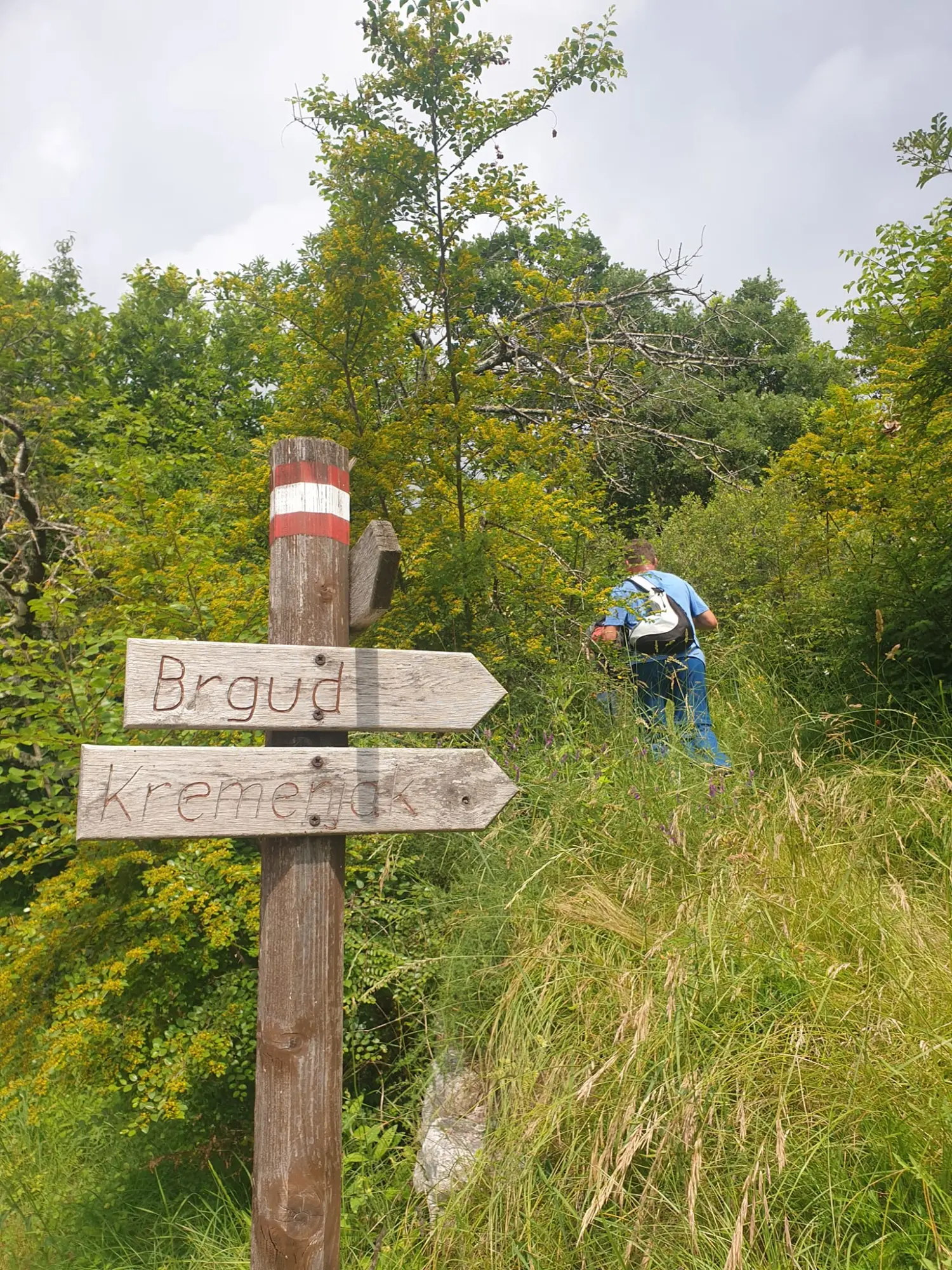 pd bundek (18) pd bundek (18)