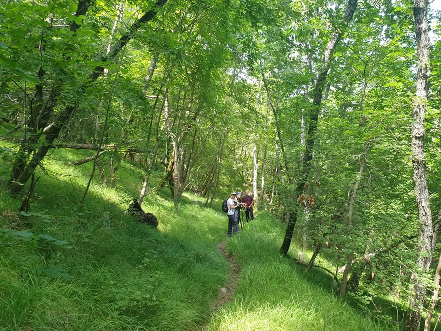 pd bundek (26) pd bundek (26)