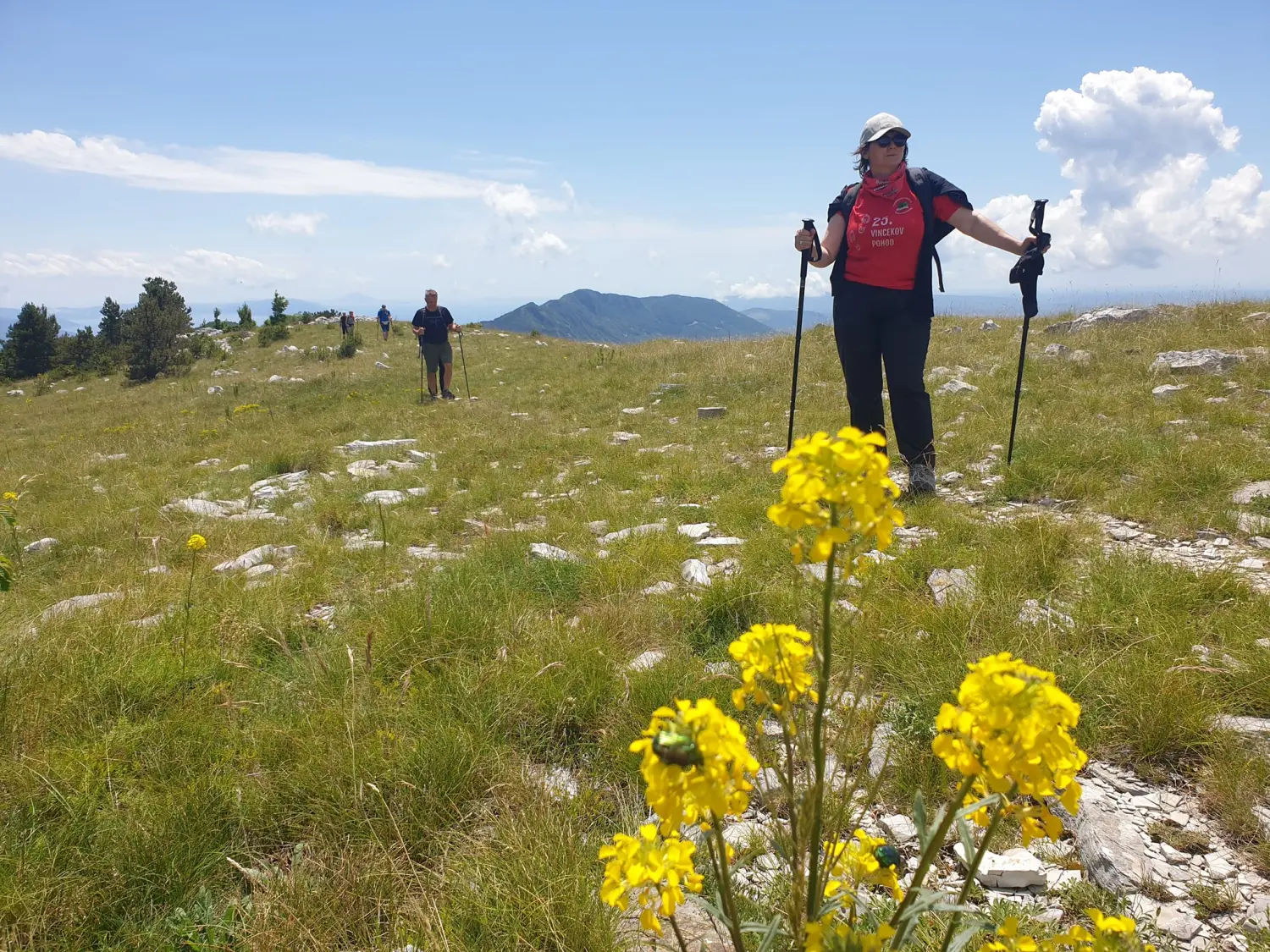 pd bundek (31) pd bundek (31)