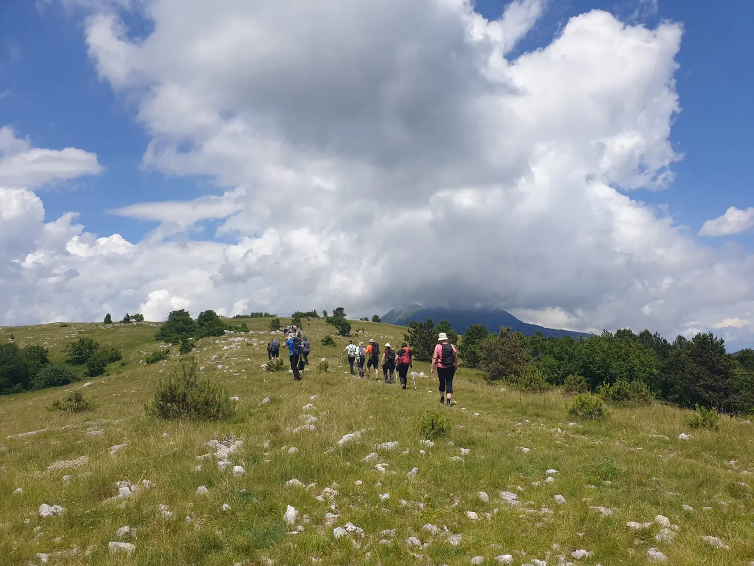 pd bundek (36) pd bundek (36)