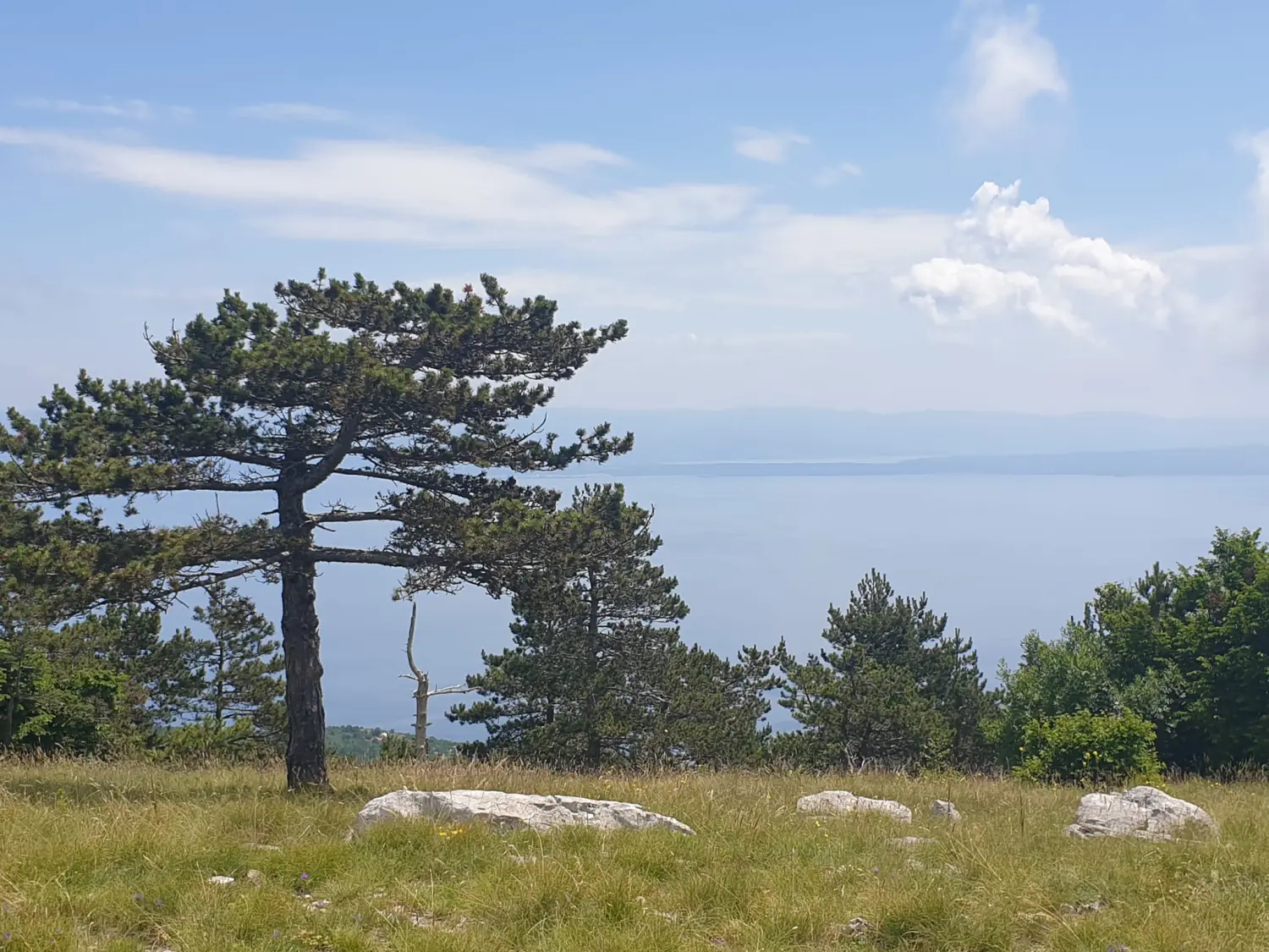 pd bundek (37) pd bundek (37)