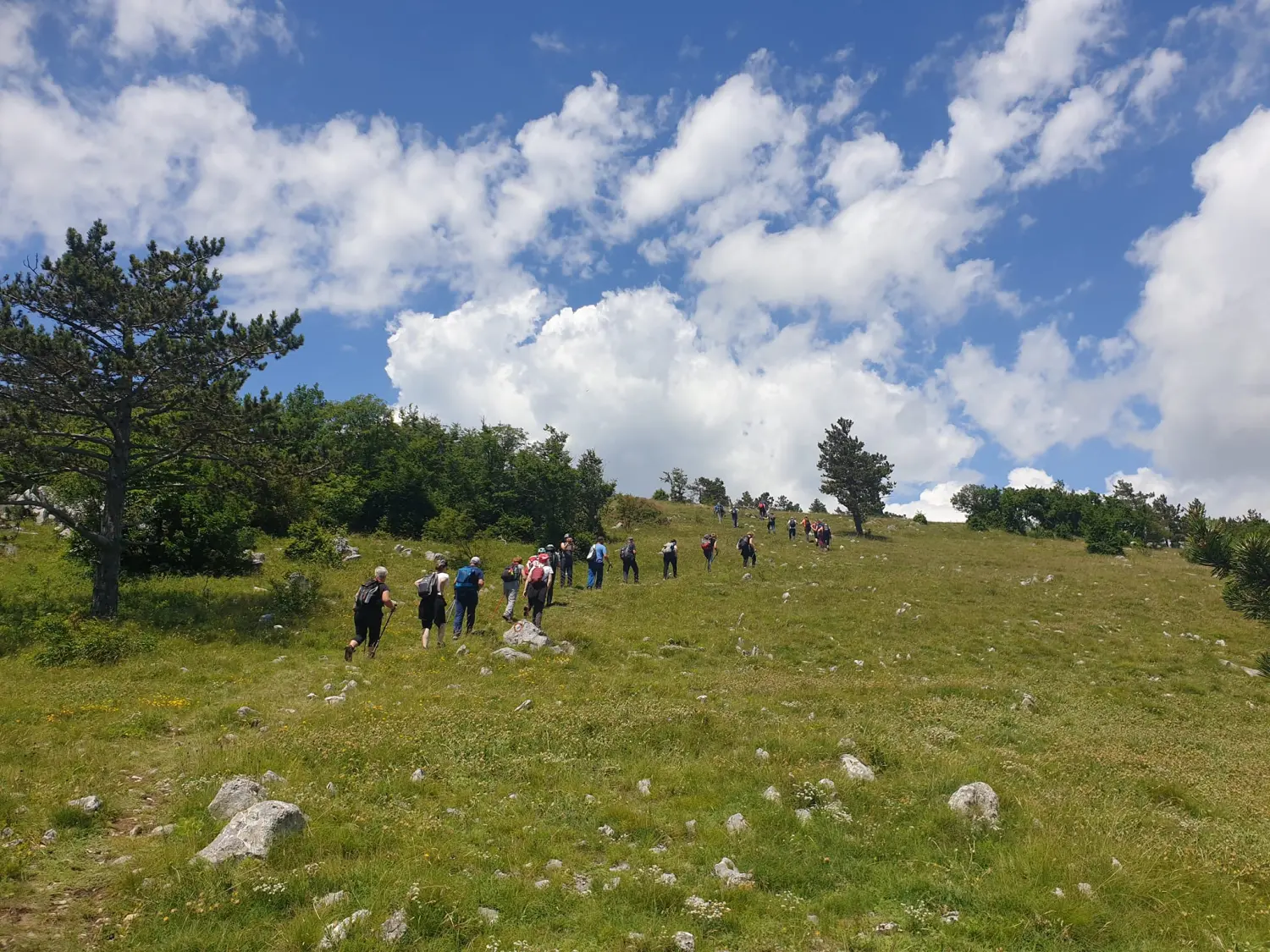 pd bundek (5) pd bundek (5)