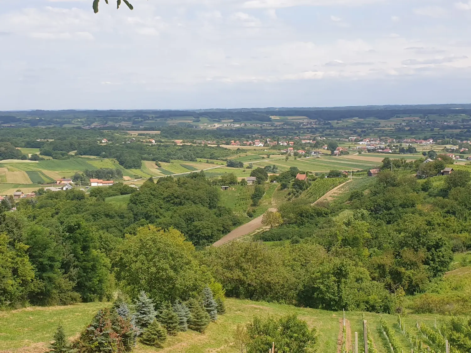 pd bundek (5) pd bundek (5)