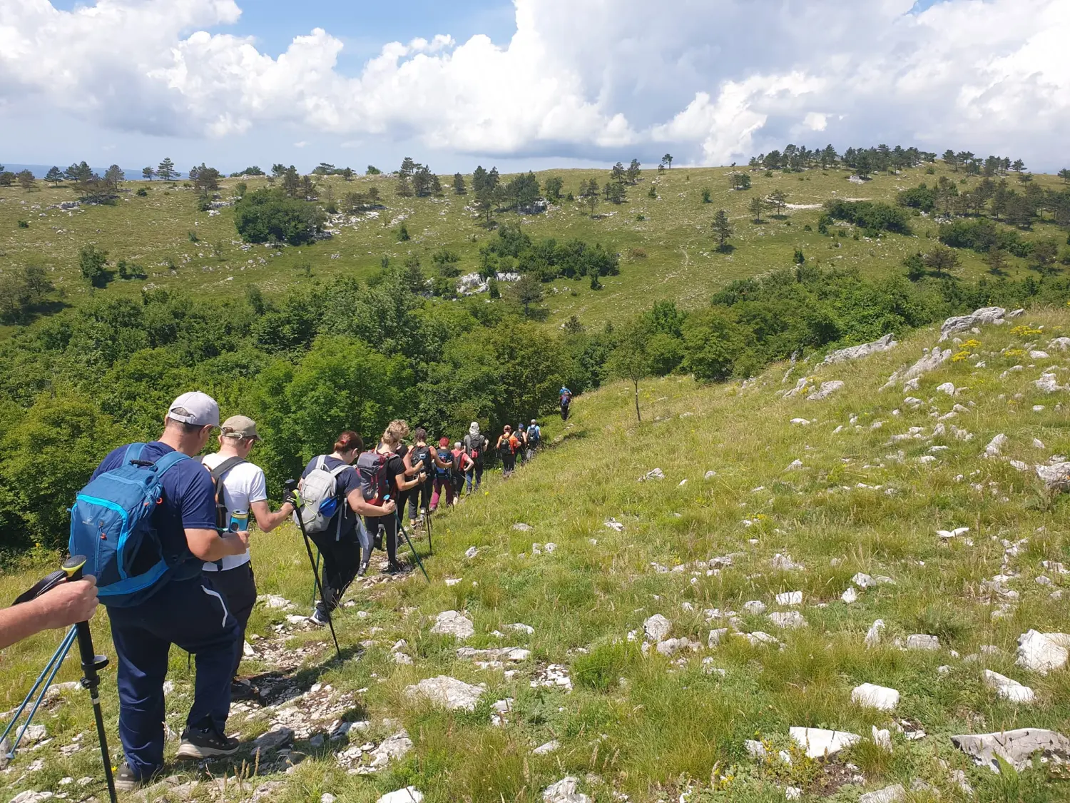 pd bundek (6) pd bundek (6)