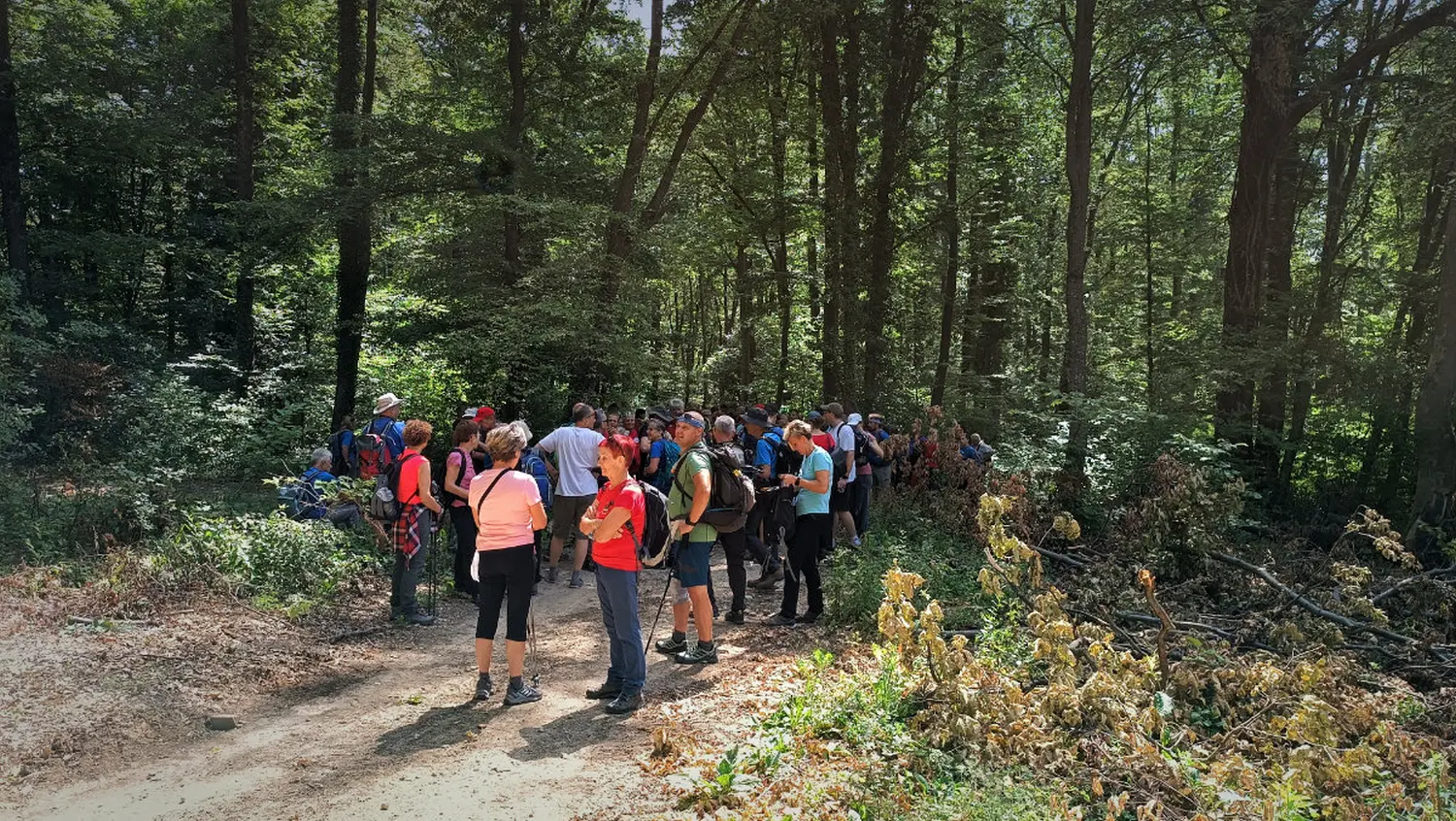 pd bundek (6) pd bundek (6)