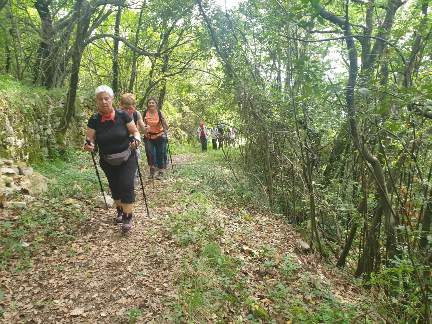 pd bundek (7) pd bundek (7)