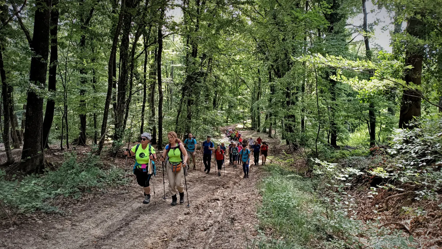 pd bundek (8) pd bundek (8)