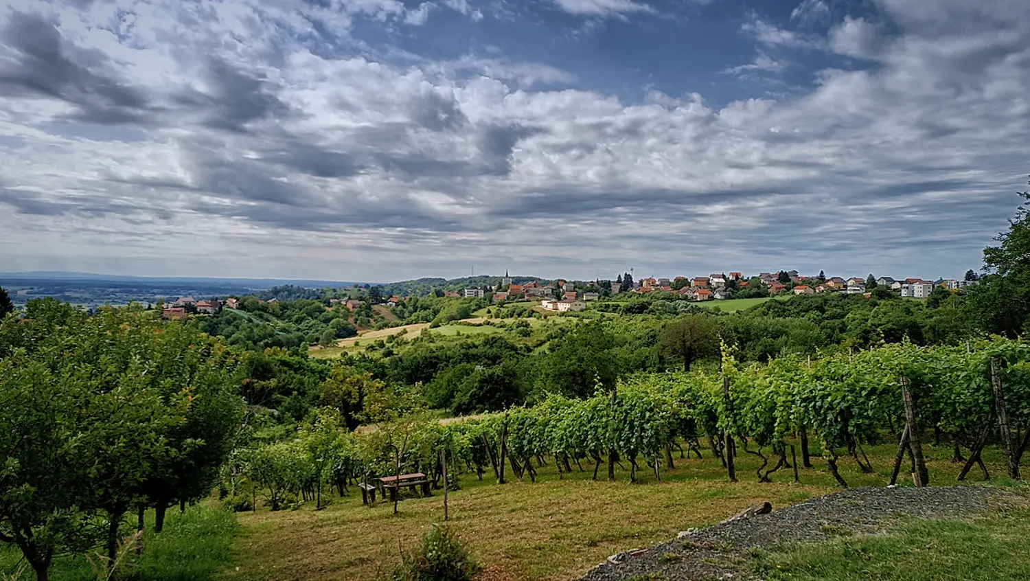 pd bundek (9) pd bundek (9)