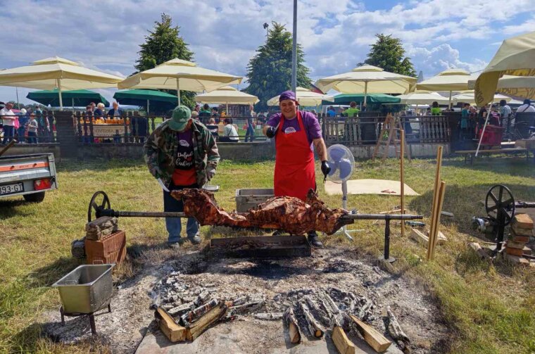 pečeni prasci, orehijada (5)