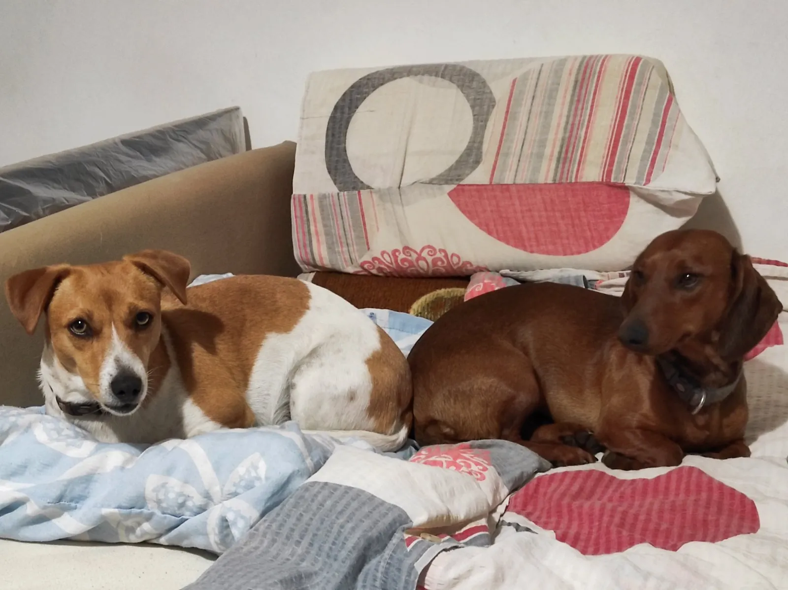 pepa i miša 2 pepa i miša 2