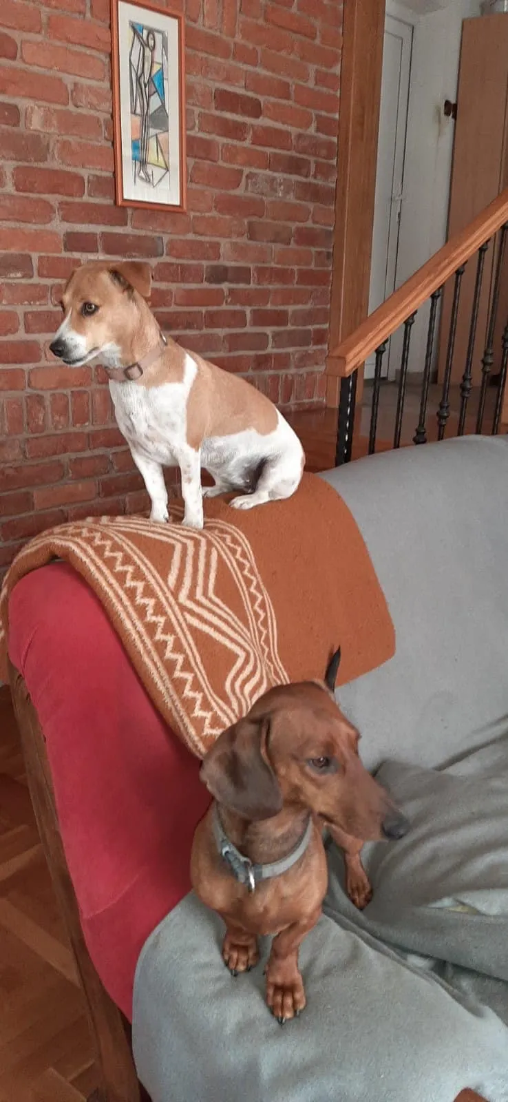 pepa i miša pepa i miša