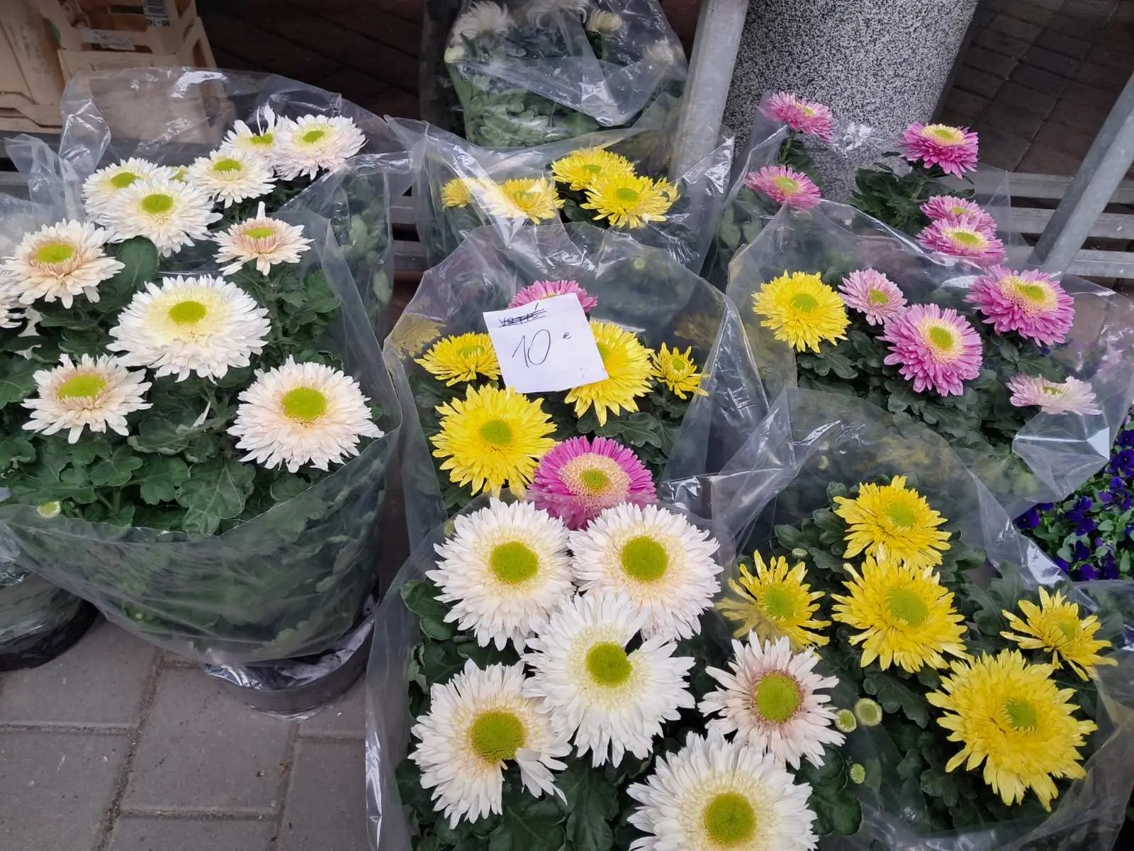 pijac,tržnica prelog 26.10 (8)