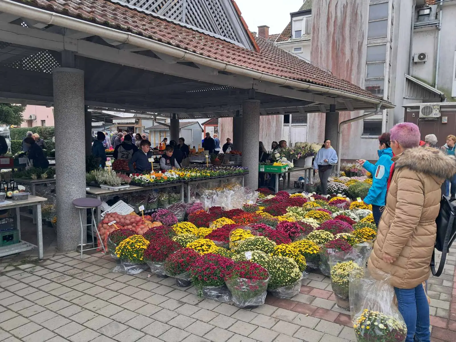 pijac,tržnica prelog 26.10 (9)