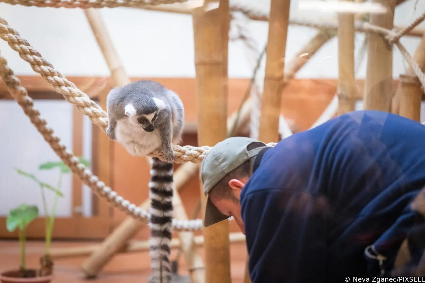 podjela darova u zoološkom vrtu 2024 (24)