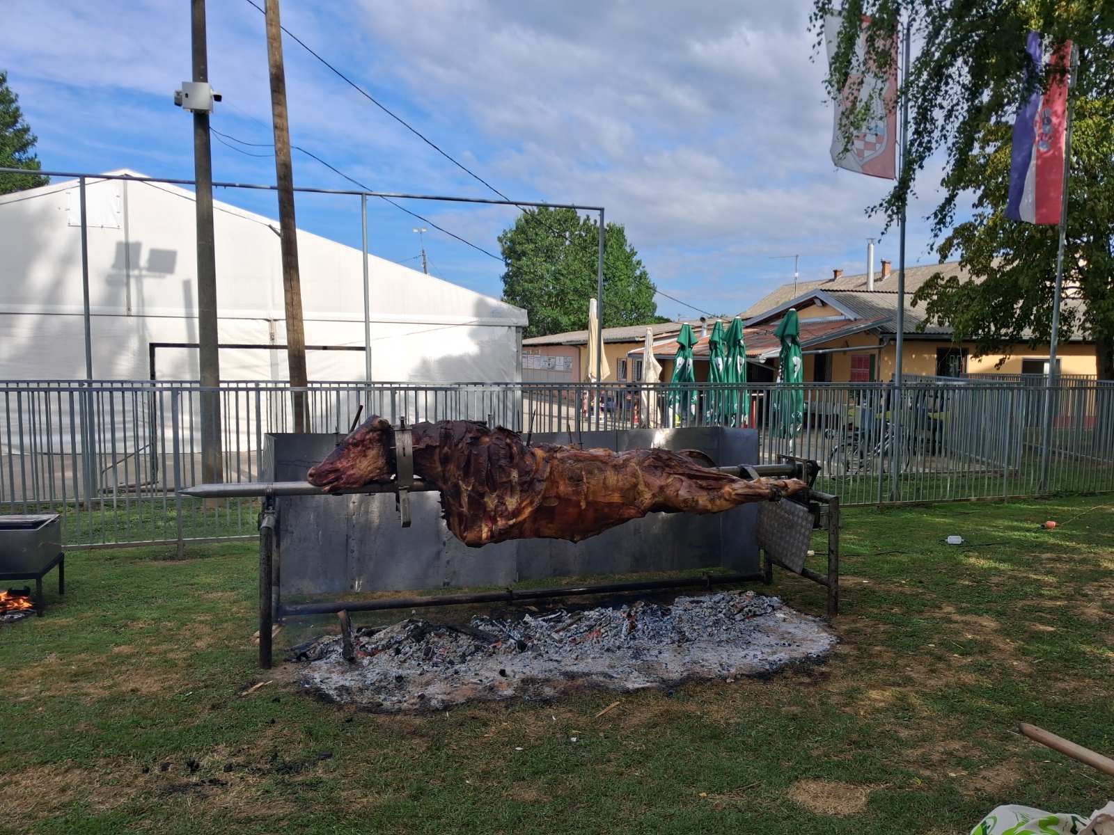 podturen, bik na ražnju (2) podturen, bik na ražnju (2)