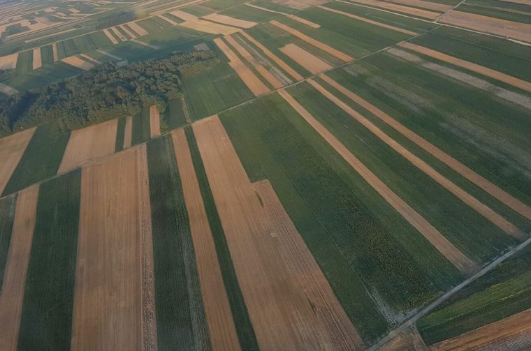 Polje, poljoprivreda