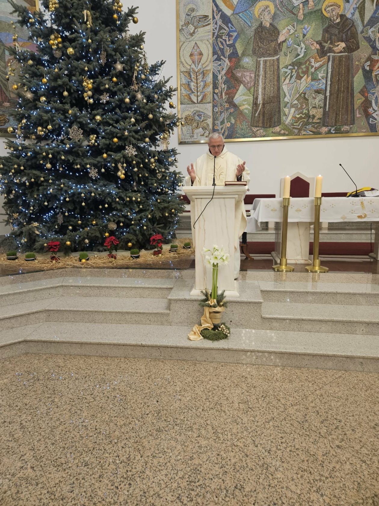 polnoćka čakovec jug (2)