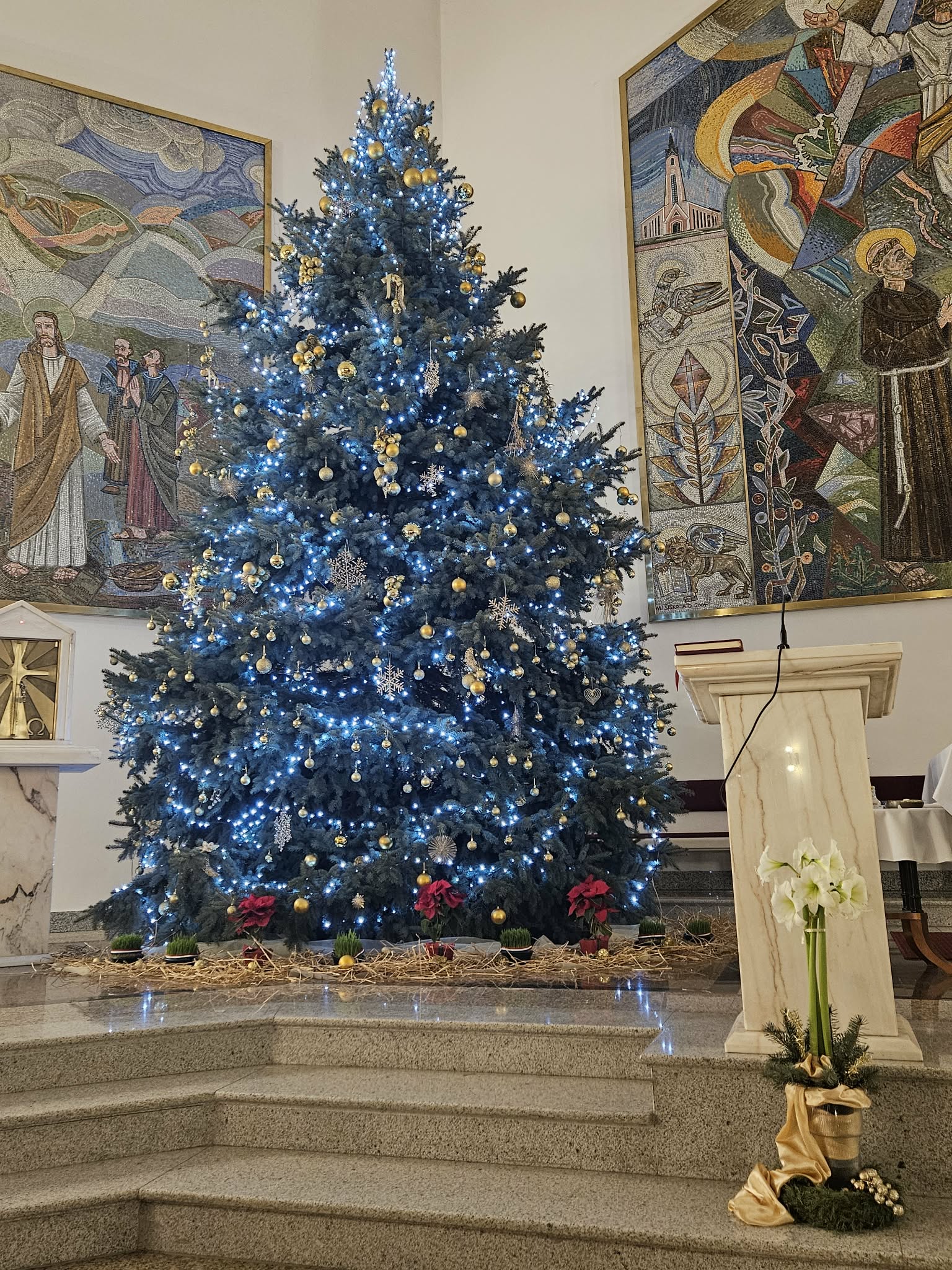 polnoćka čakovec jug (5)