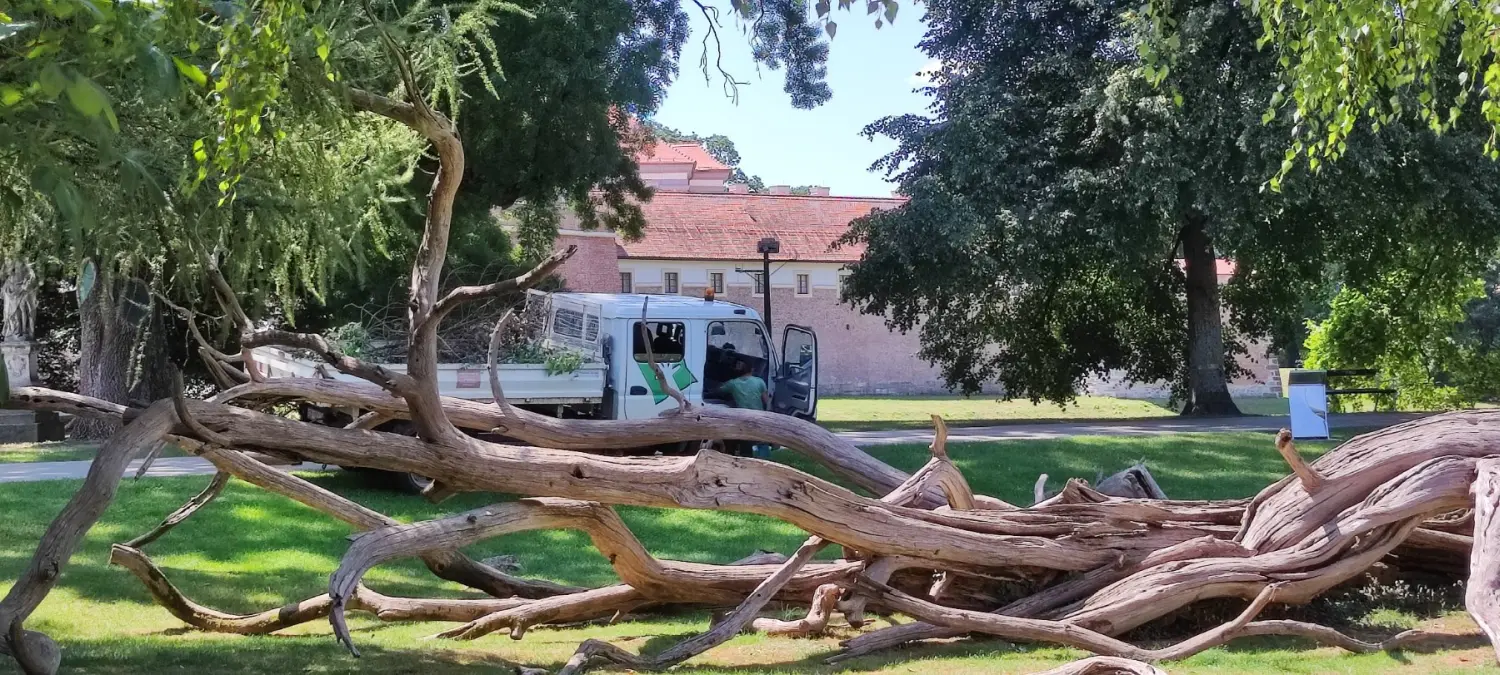 porcijunkulovo,pripreme (11) porcijunkulovo,pripreme (11)