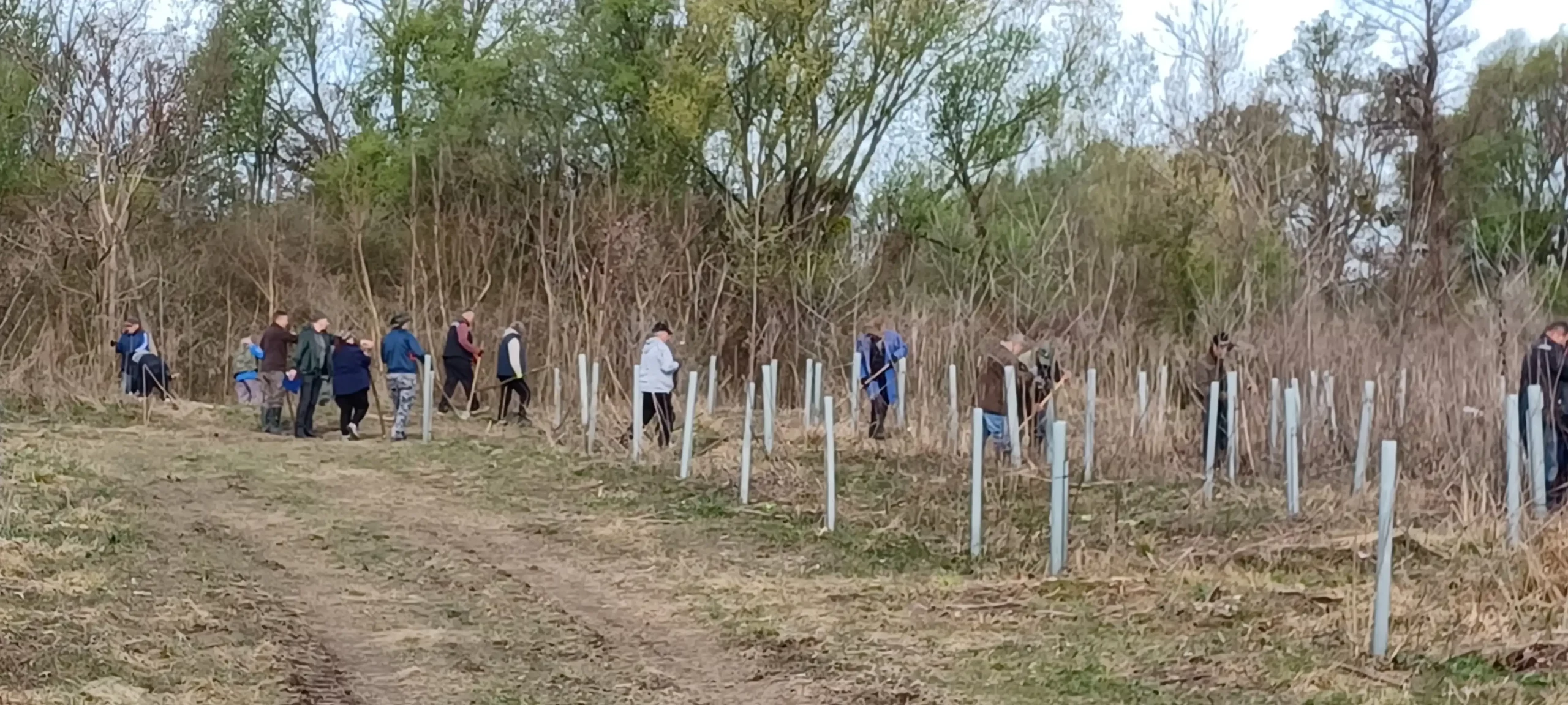 pošumljavanje, branitelji (5)