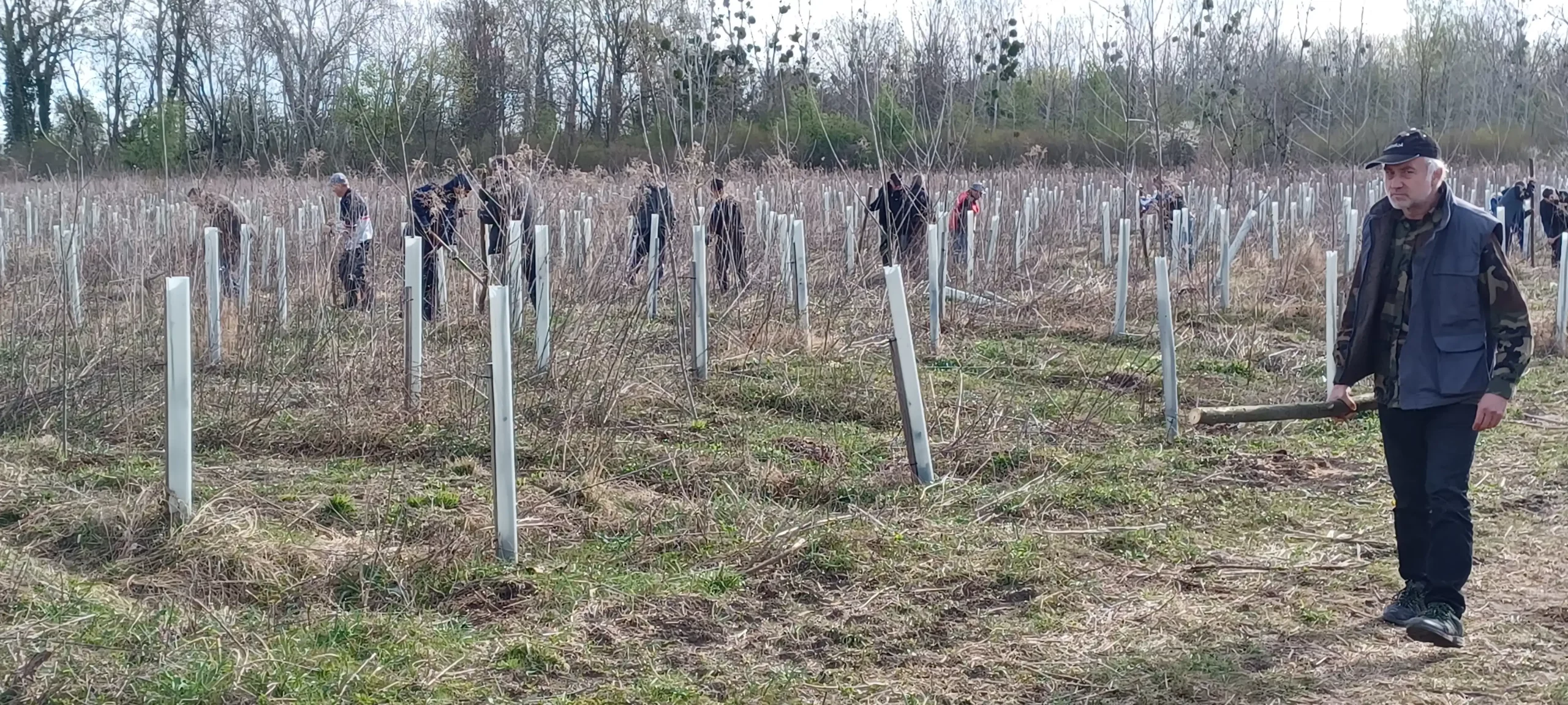 pošumljavanje, branitelji (7)