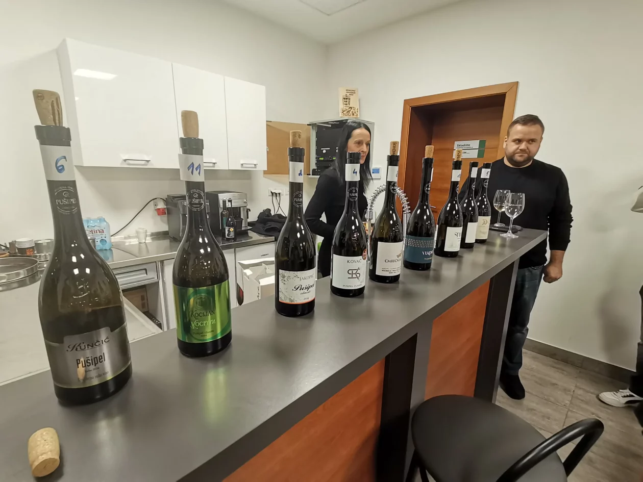 poticaji nekretnine štrigova (6)