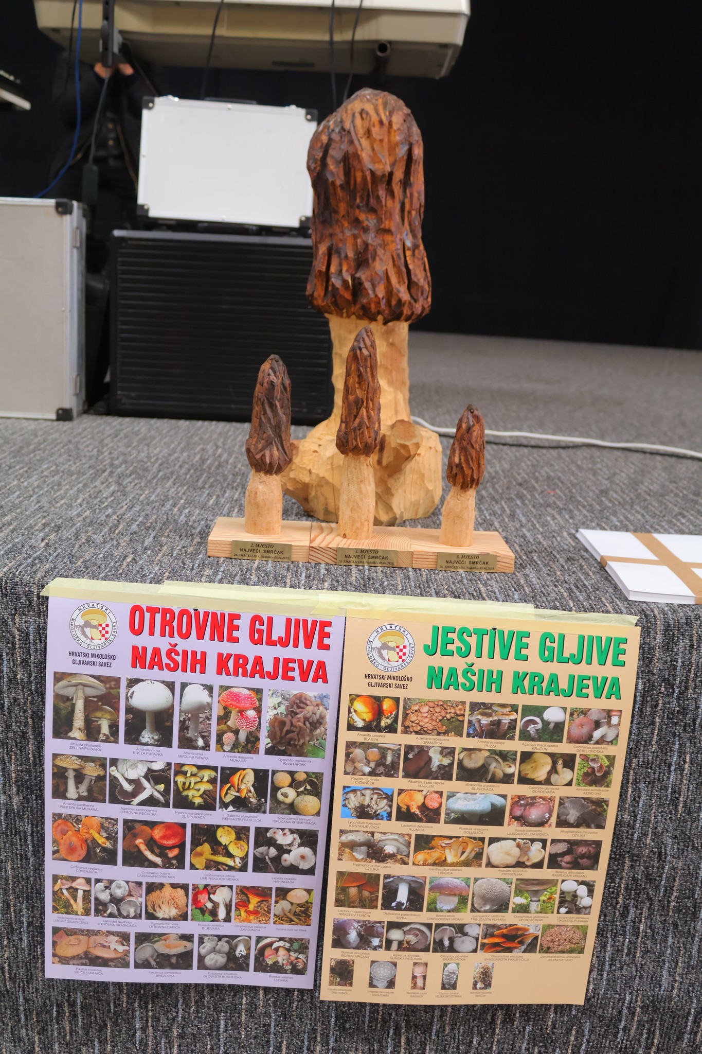 potraga za smrčkom,smrčkijada nedelišće 2025 (8)