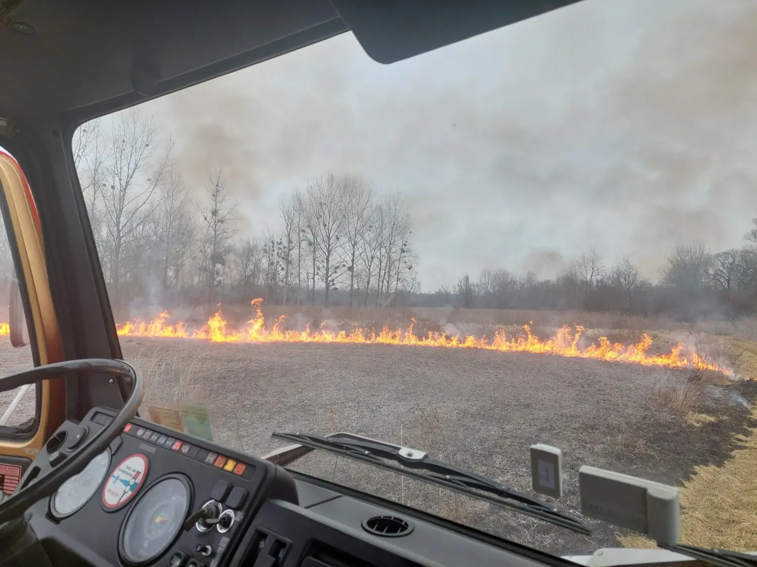 požar, dvd podturen, nisko raslinje (10)