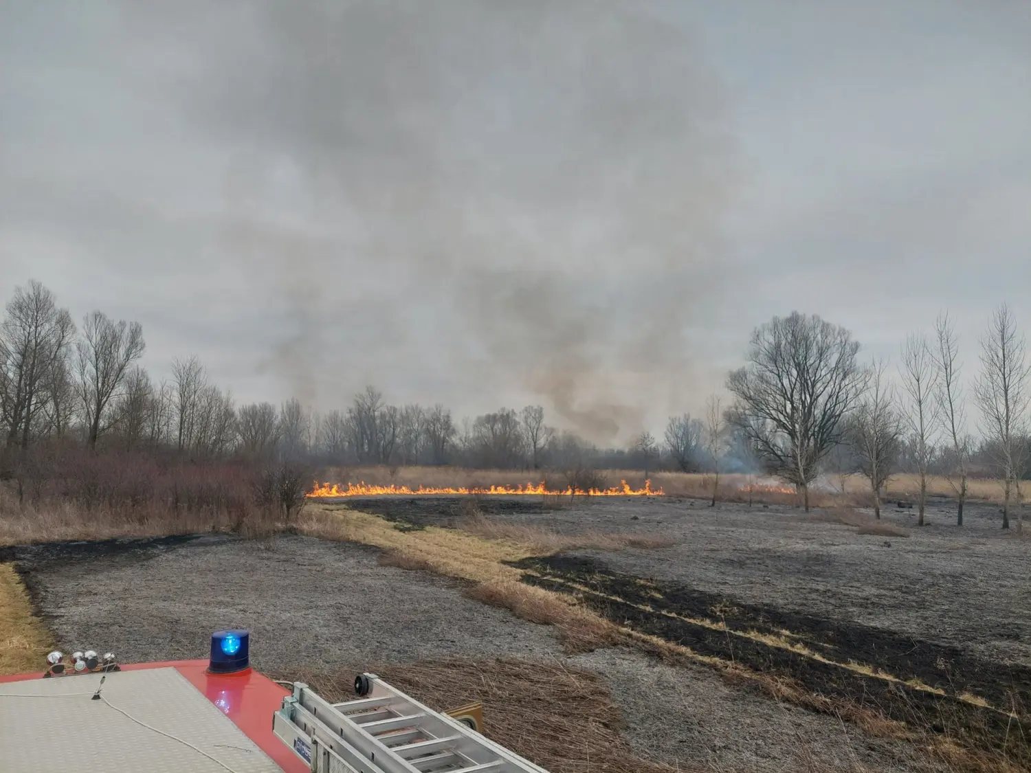 požar, dvd podturen, nisko raslinje (11)