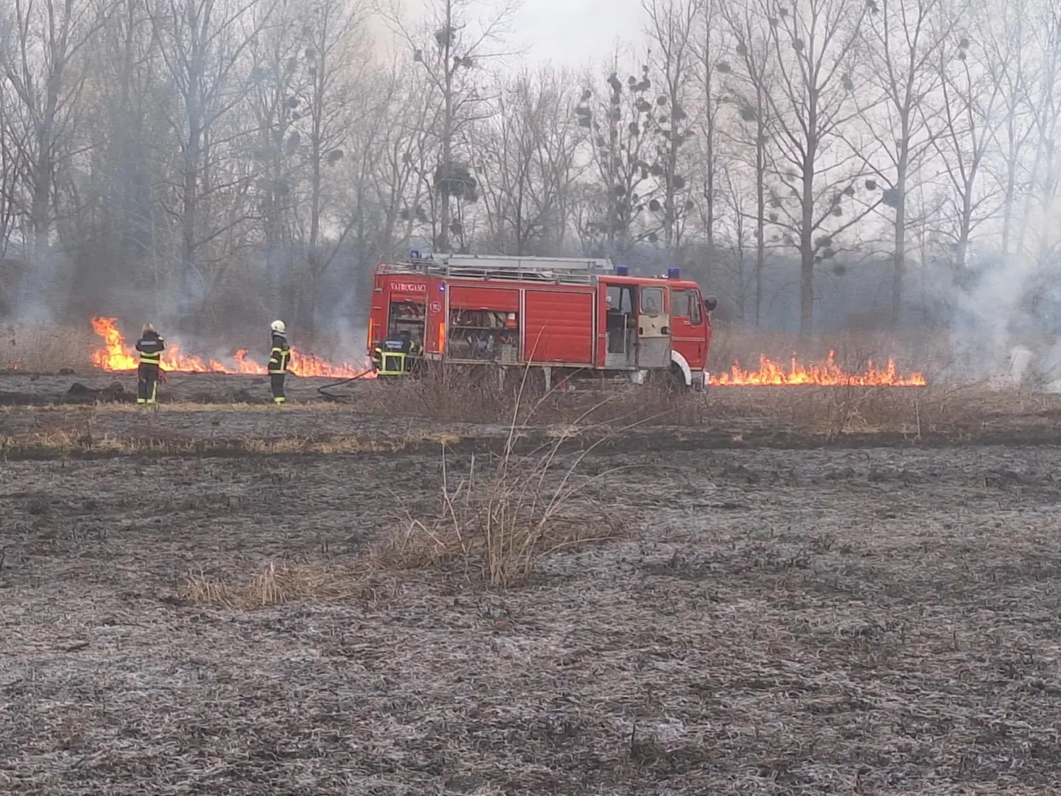 požar, dvd podturen, nisko raslinje (12)
