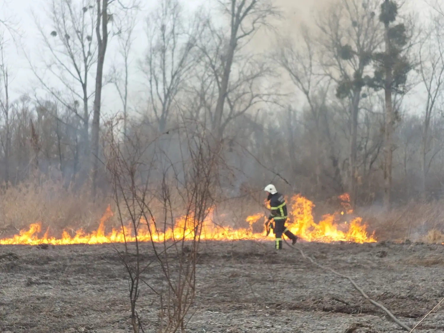 požar, dvd podturen, nisko raslinje (13)