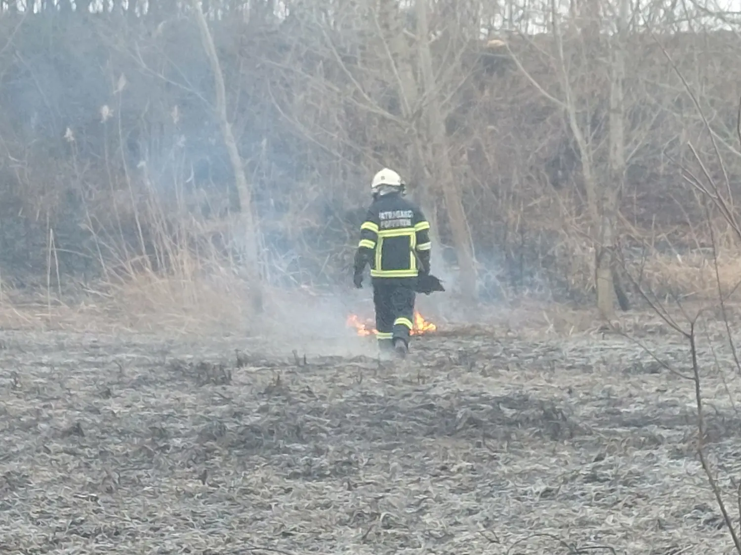 požar, dvd podturen, nisko raslinje (14)