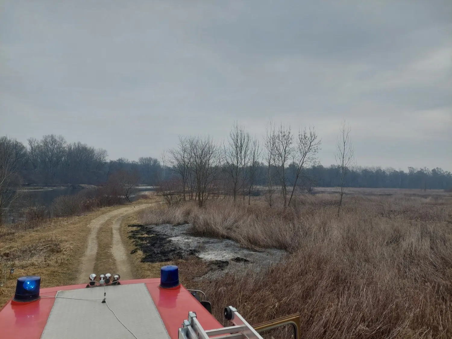 požar, dvd podturen, nisko raslinje (2)