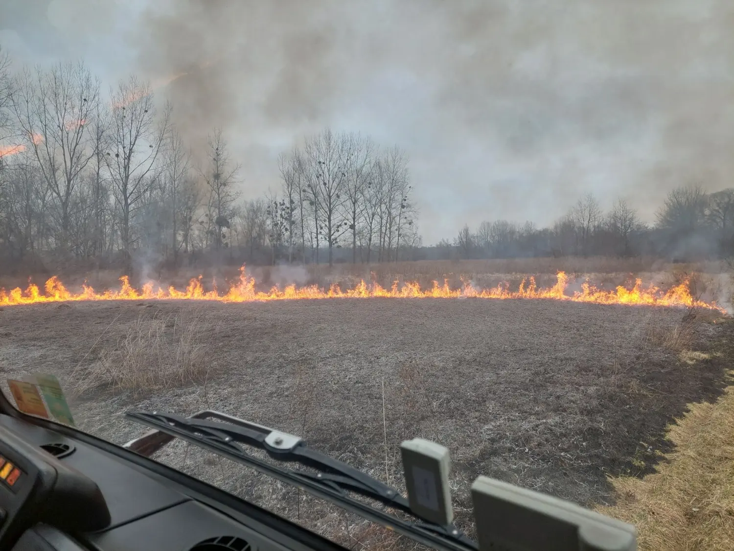 požar, dvd podturen, nisko raslinje (7)