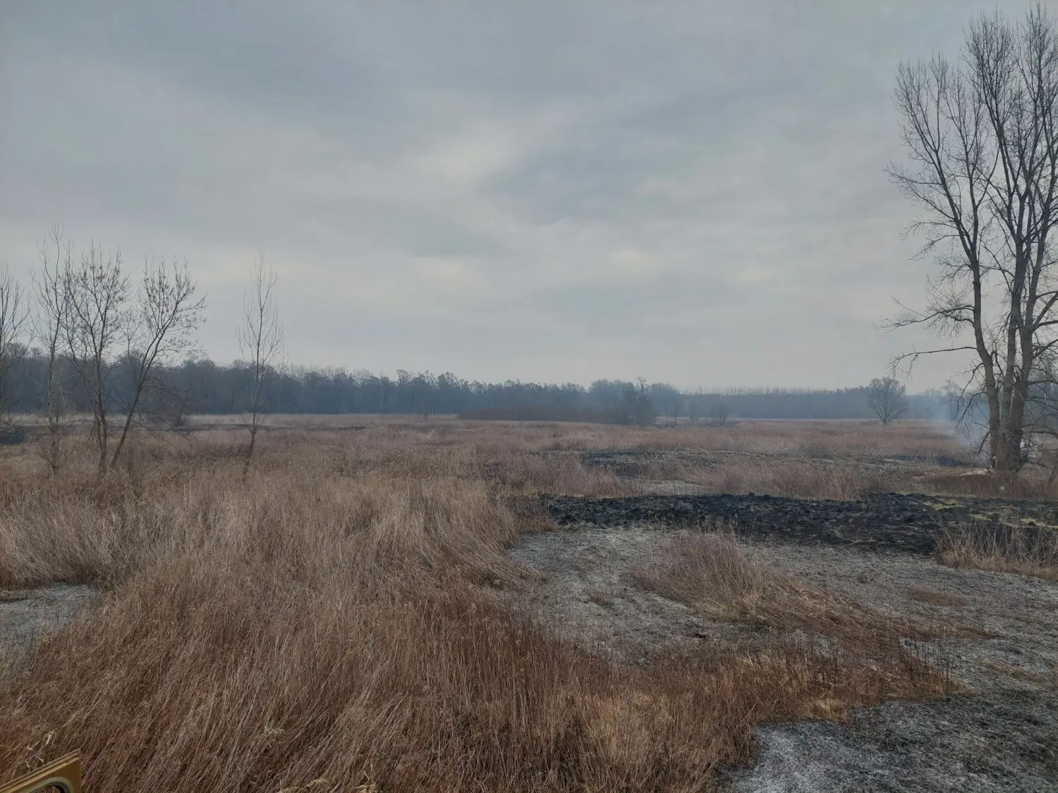 požar, dvd podturen, nisko raslinje (8)