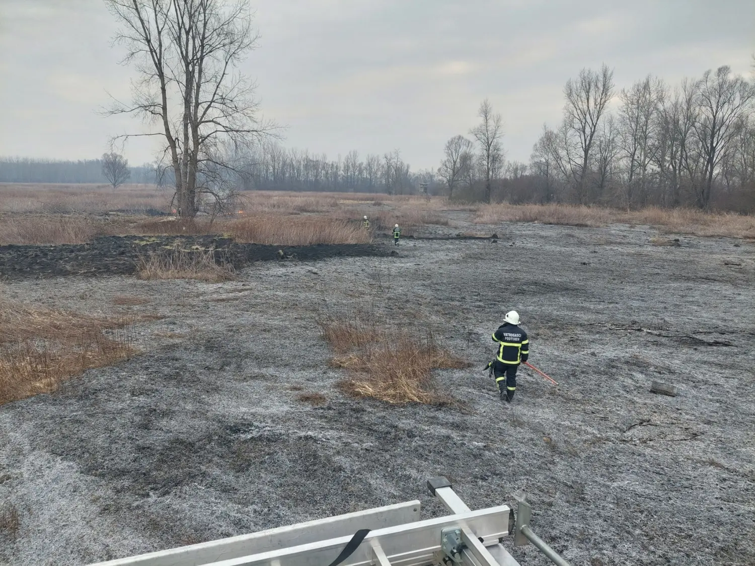 požar, dvd podturen, nisko raslinje (9)