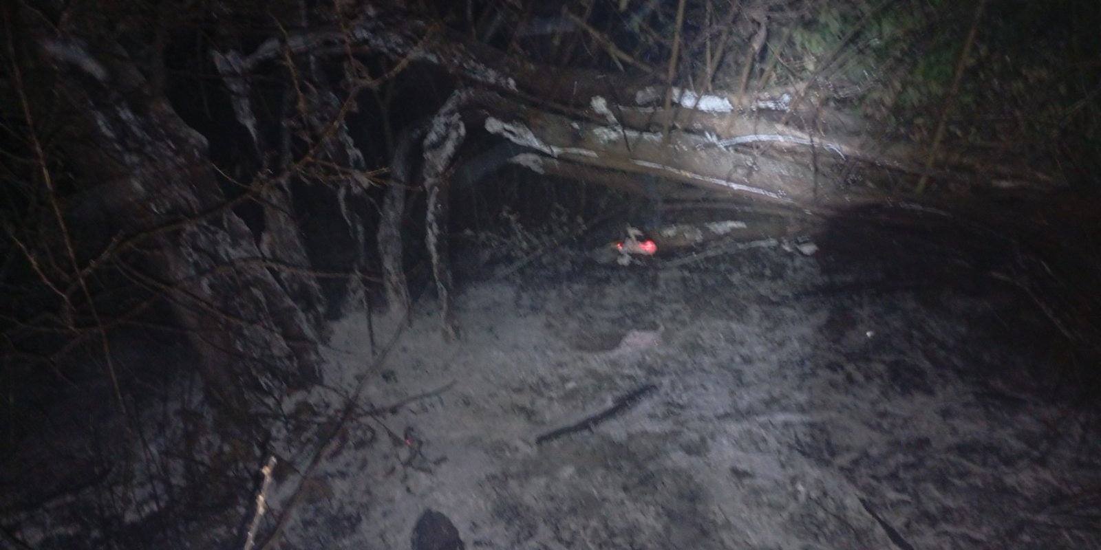 požar, dvd sivica (1)