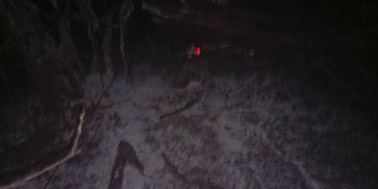 požar, dvd sivica (2) požar, dvd sivica (2)