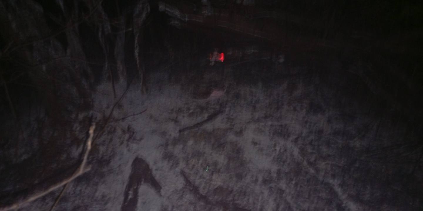 požar, dvd sivica (2)