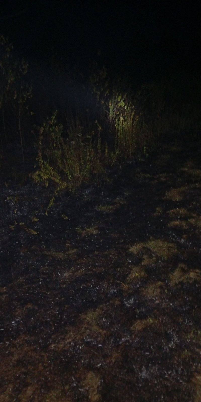 požar, dvd sivica (3)