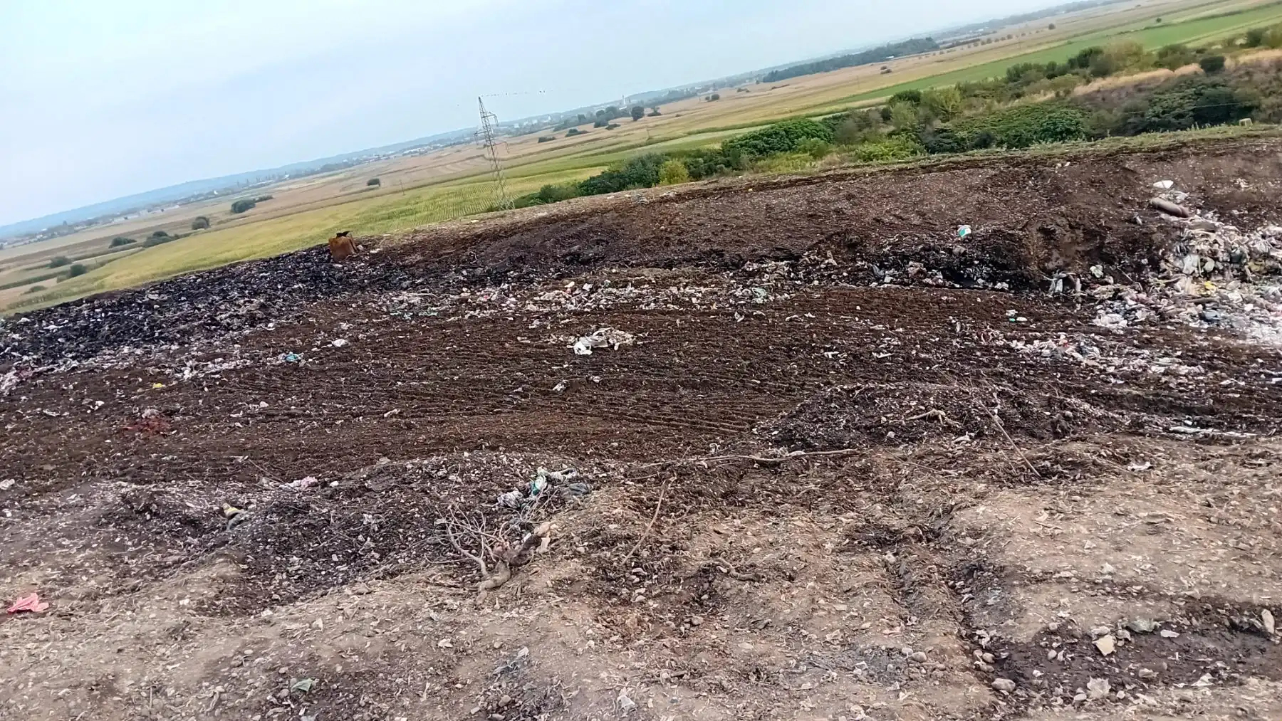 požar totovec kolovoz 2024 (1)