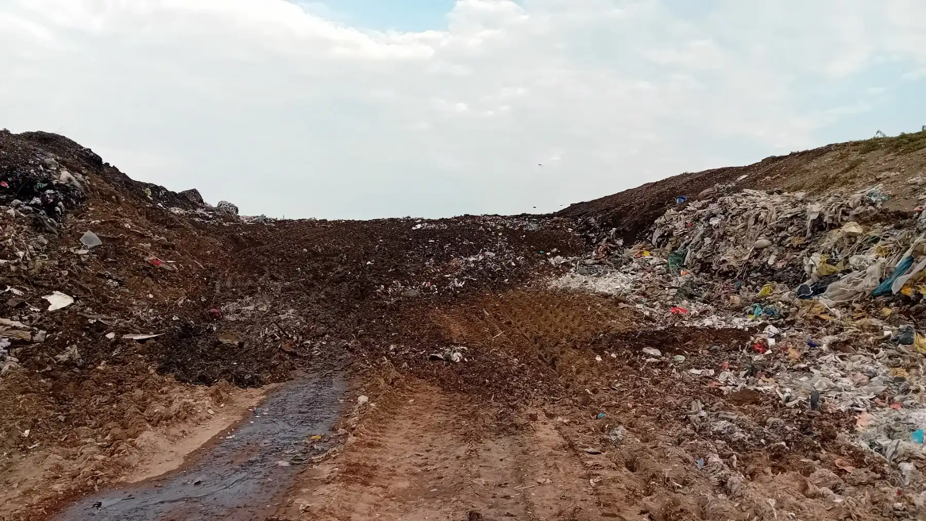 požar totovec kolovoz 2024 (2)