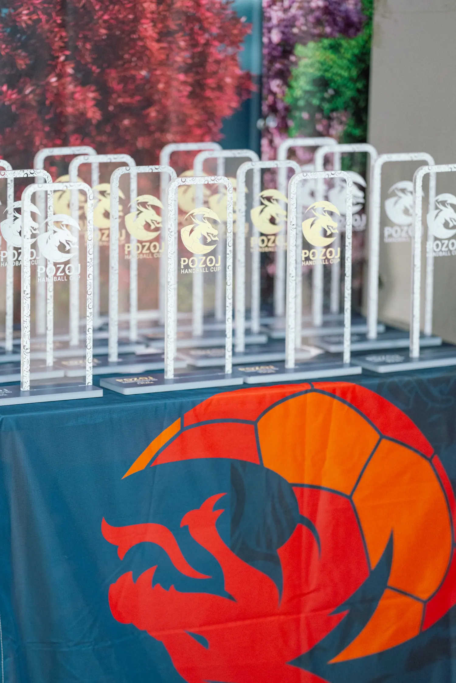 pozoj,handball cup 2024 (7)