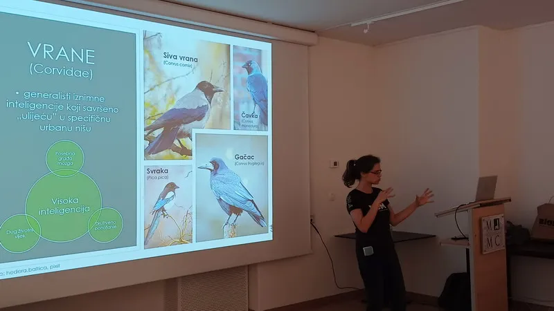 predavanje vrana gačac (10) predavanje vrana gačac (10)