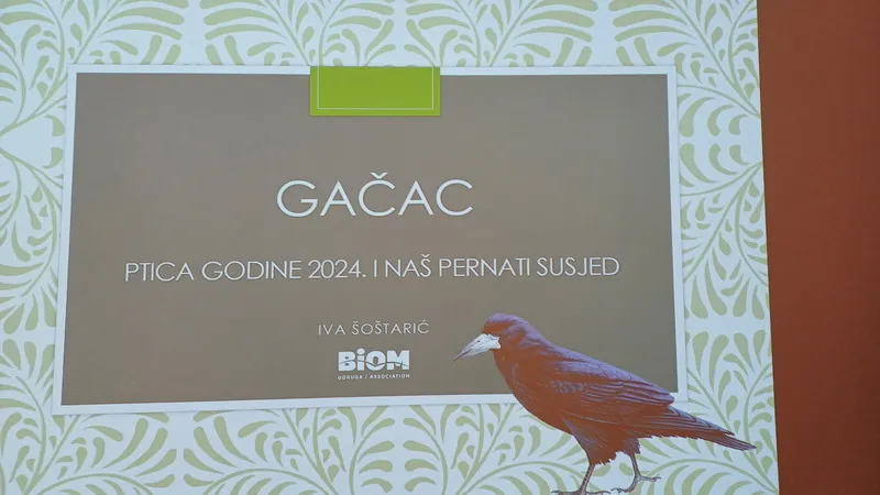 predavanje vrana gačac (3a) predavanje vrana gačac (3a)