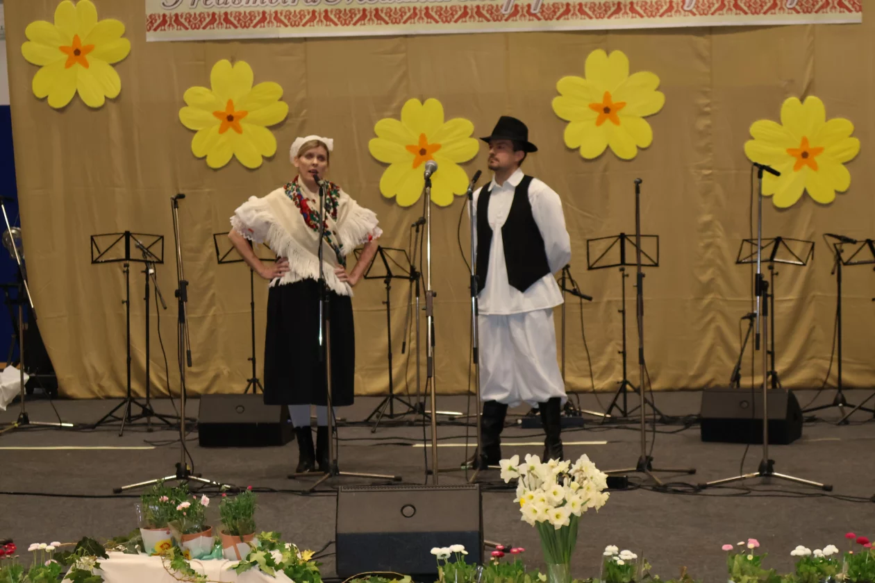 predsmotra medimurske popevke donji kraljevec (20)