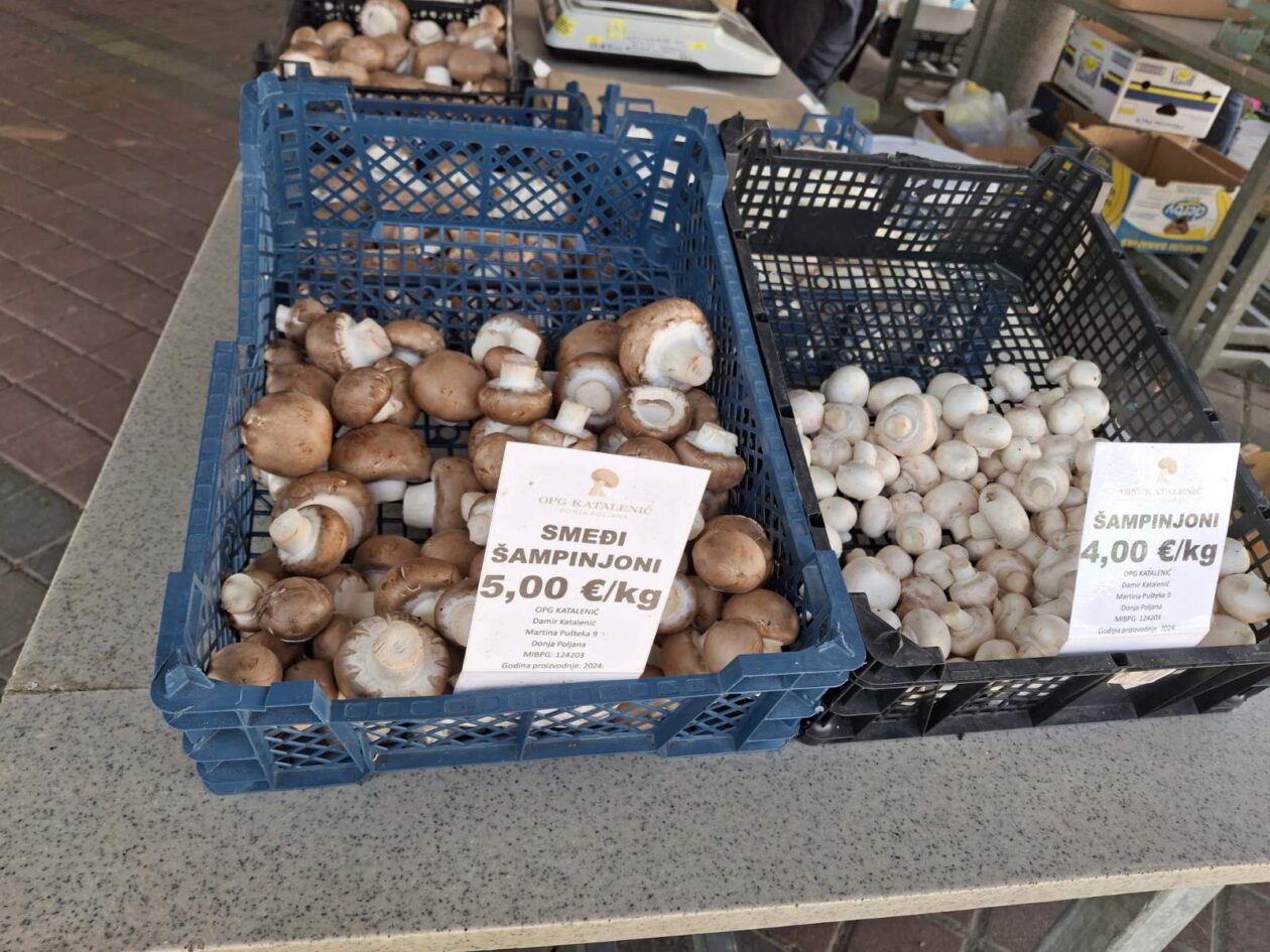 prelog, tržnica,21.6 (11)