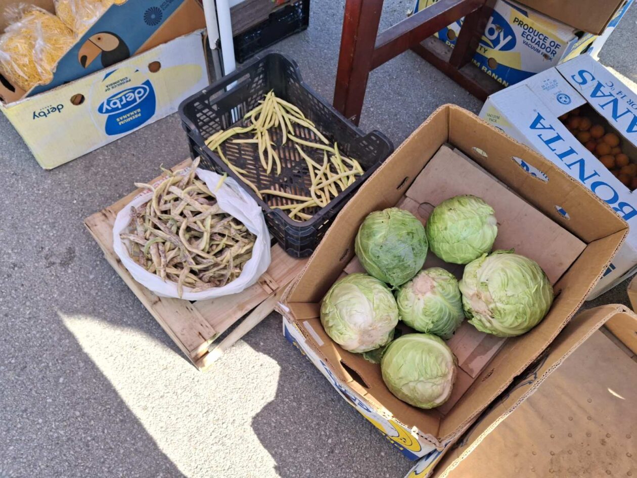 prelog, tržnica,21.6 (18)