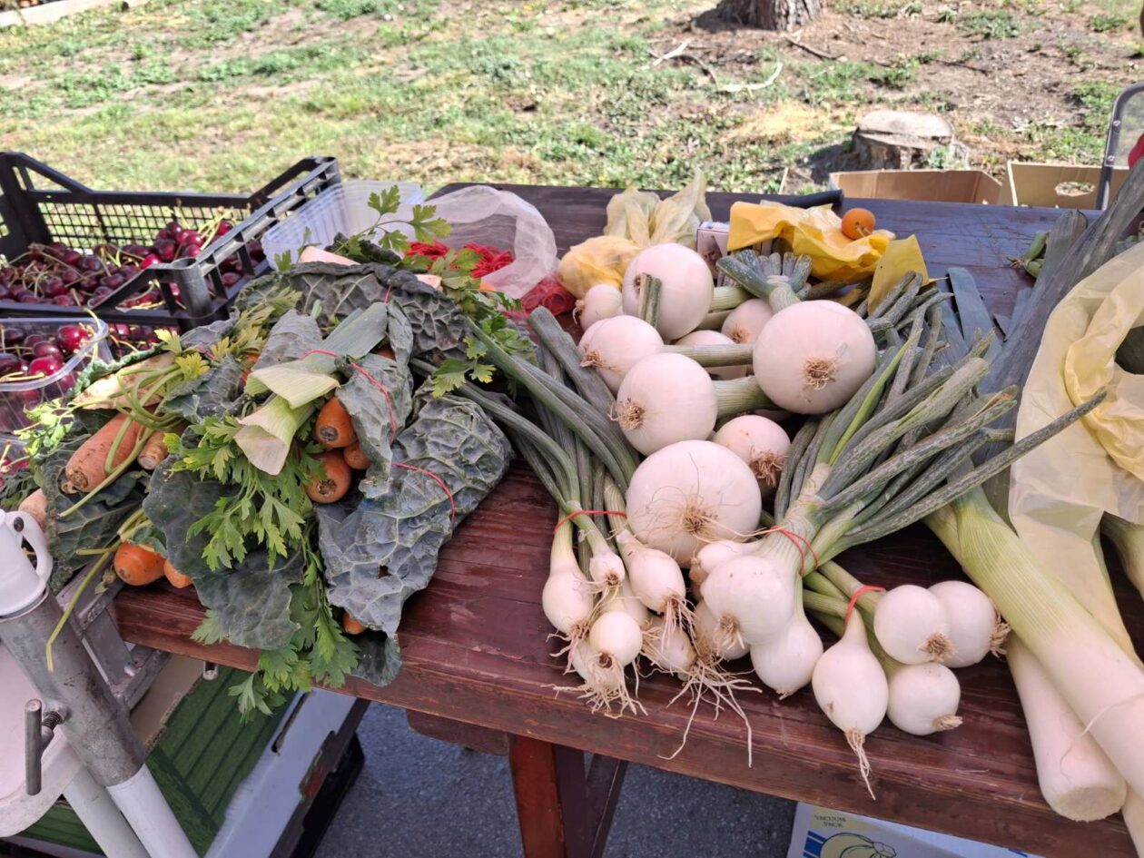 prelog, tržnica,21.6 (19)